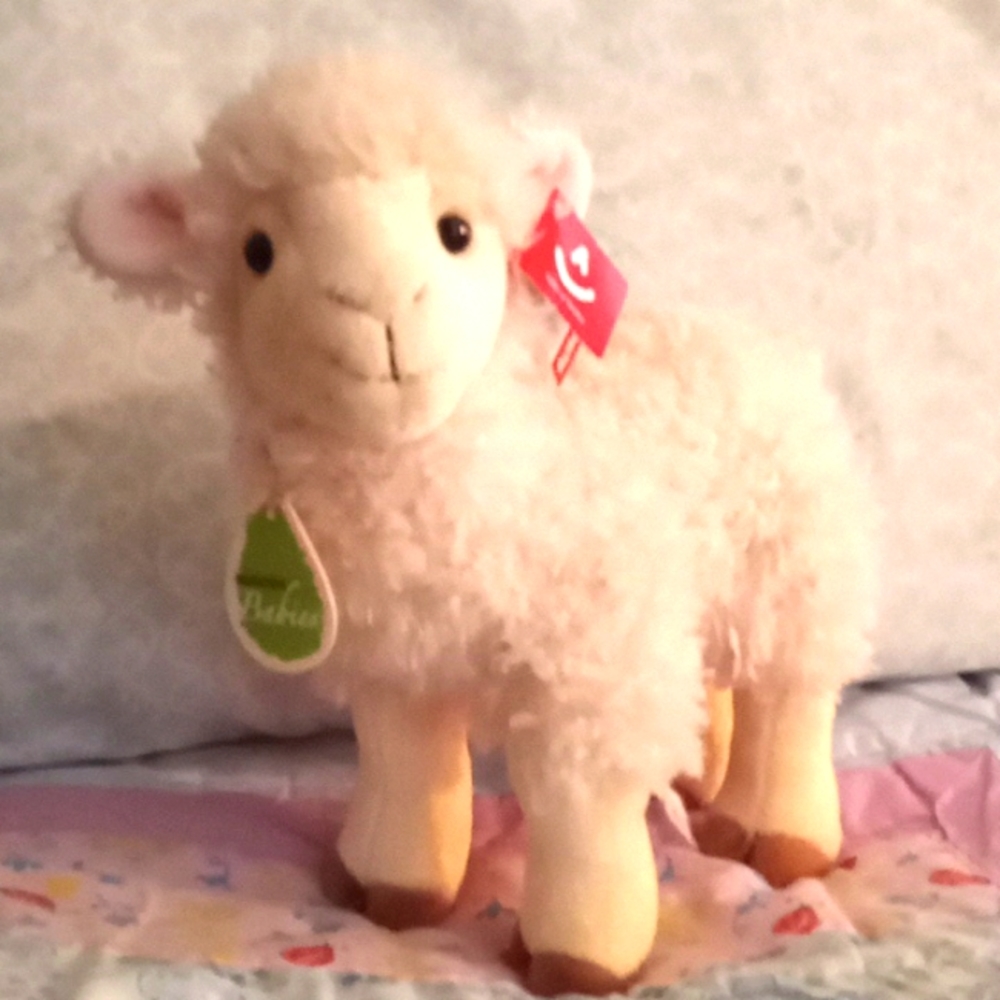 Stuffed Lamb